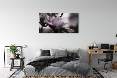 Quadro su tela Magnolia