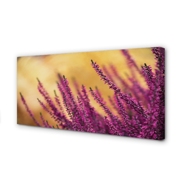 Foto quadro su tela Fiori