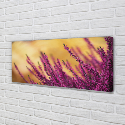 Foto quadro su tela Fiori