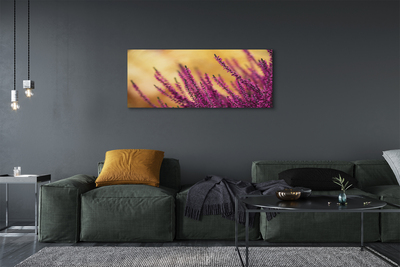 Foto quadro su tela Fiori