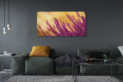 Foto quadro su tela Fiori