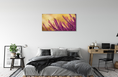 Foto quadro su tela Fiori