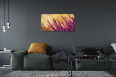 Foto quadro su tela Fiori