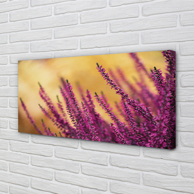 Foto quadro su tela Fiori