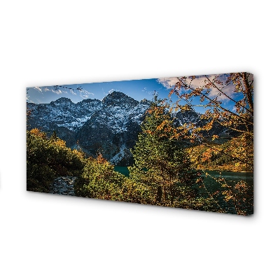 Quadro su tela Lago delle montagne