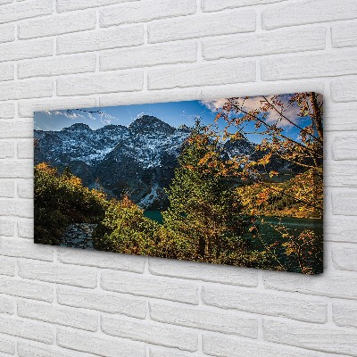 Quadro su tela Lago delle montagne