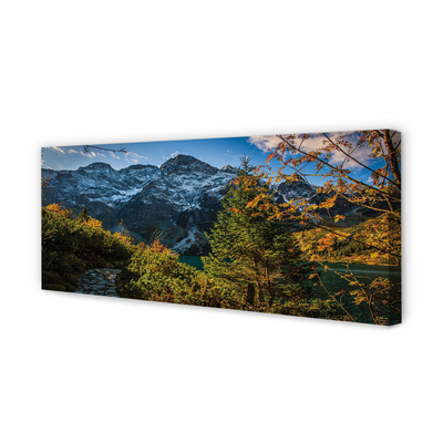 Quadro su tela Lago delle montagne