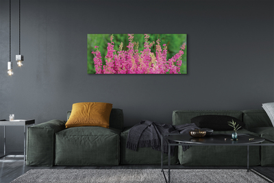 Quadro su tela Fiori di erica