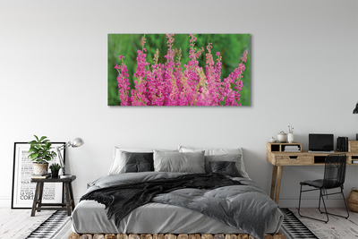 Quadro su tela Fiori di erica