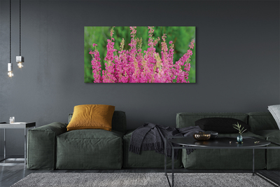 Quadro su tela Fiori di erica