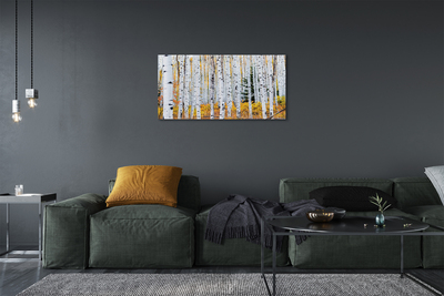 Foto quadro su tela Birch autunnale