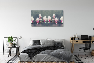 Foto quadro su tela Ramo magnolia