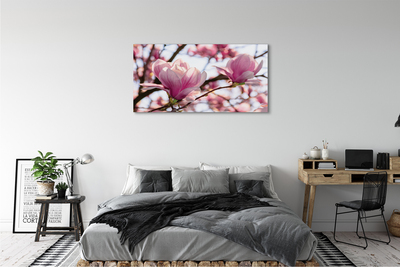 Quadro su tela Alberi magnolia