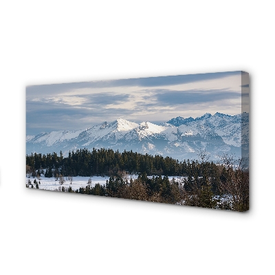 Quadro su tela Montagne Snow invernale