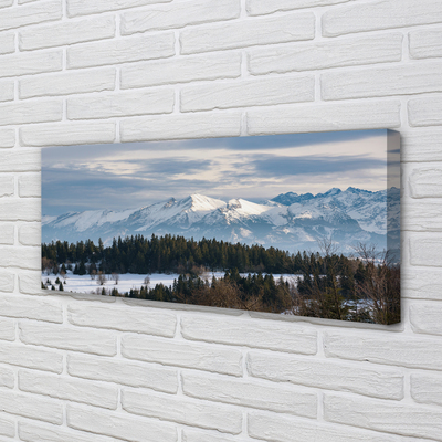 Quadro su tela Montagne Snow invernale