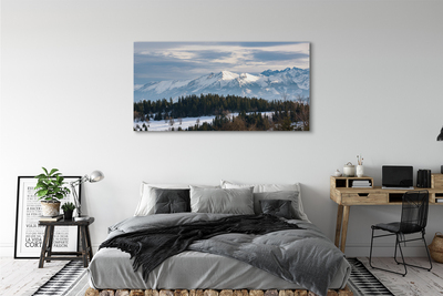 Quadro su tela Montagne Snow invernale