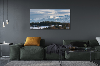 Quadro su tela Montagne Snow invernale