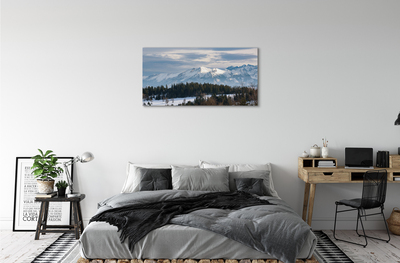 Quadro su tela Montagne Snow invernale