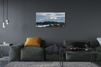 Quadro su tela Montagne Snow invernale