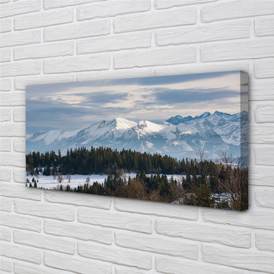 Quadro su tela Montagne Snow invernale