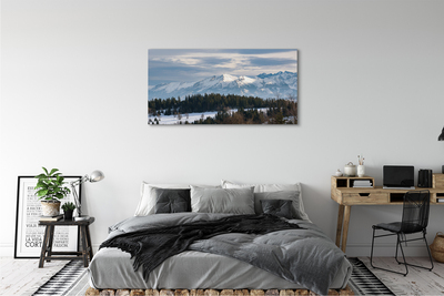 Quadro su tela Montagne Snow invernale