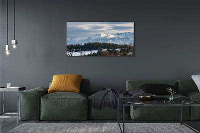 Quadro su tela Montagne Snow invernale