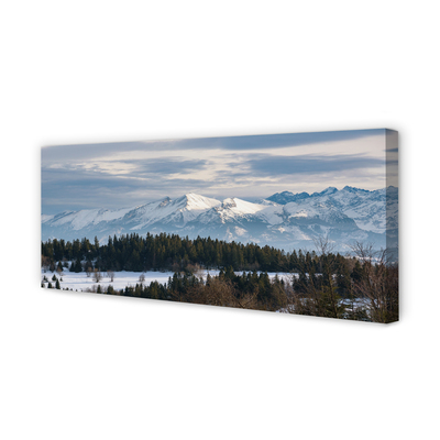 Quadro su tela Montagne Snow invernale