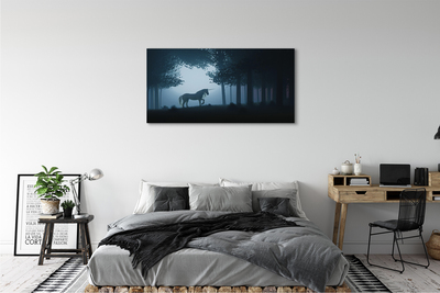 Quadro stampa su tela Forest Night Unicorn