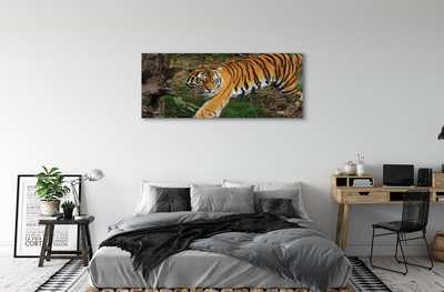 Quadro su tela Foresta di tigre