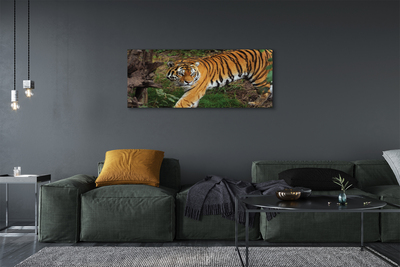 Quadro su tela Foresta di tigre