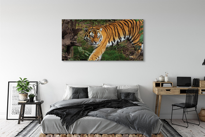 Quadro su tela Foresta di tigre