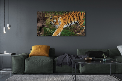 Quadro su tela Foresta di tigre