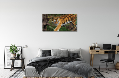 Quadro su tela Foresta di tigre