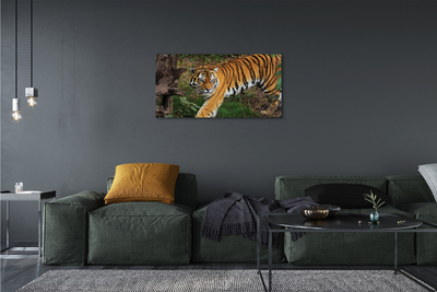 Quadro su tela Foresta di tigre