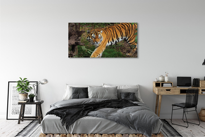 Quadro su tela Foresta di tigre