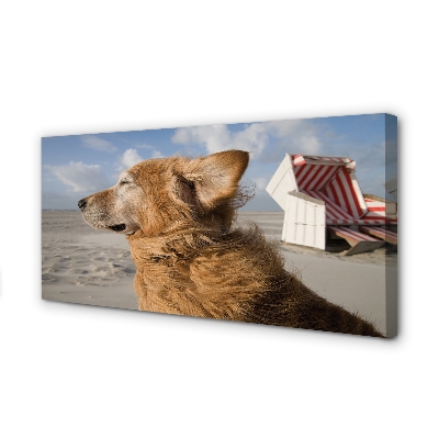 Quadro su tela Spiaggia di cani marrone