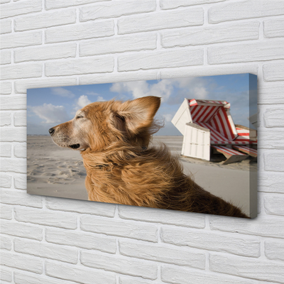 Quadro su tela Spiaggia di cani marrone