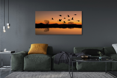 Quadro su tela Sunset di uccelli volanti