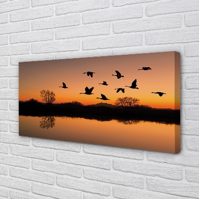 Quadro su tela Sunset di uccelli volanti