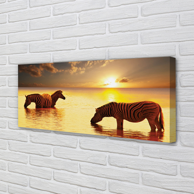 Quadro su tela Tramonto di acqua zebra