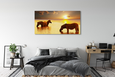 Quadro su tela Tramonto di acqua zebra