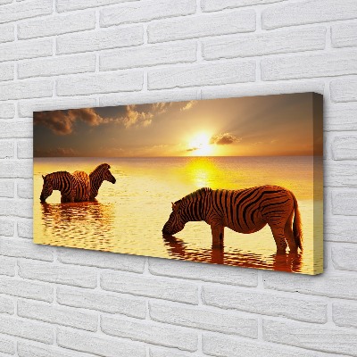 Quadro su tela Tramonto di acqua zebra