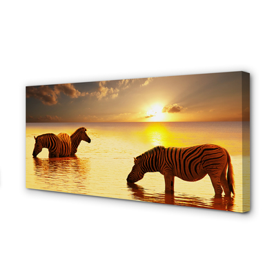 Quadro su tela Tramonto di acqua zebra