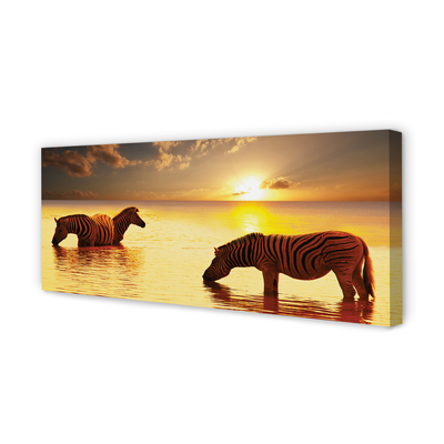 Quadro su tela Tramonto di acqua zebra