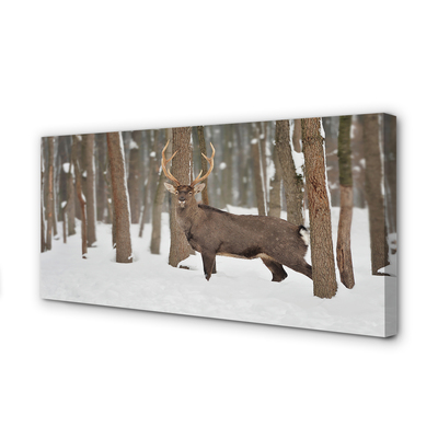 Quadro su tela Foresta invernale Jeleń