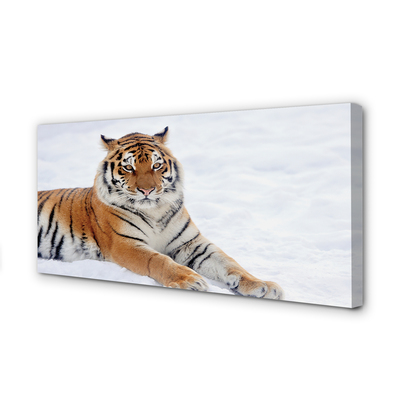 Quadro su tela Snow invernale di tigre