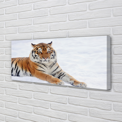 Quadro su tela Snow invernale di tigre