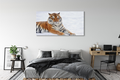 Quadro su tela Snow invernale di tigre