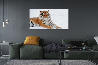 Quadro su tela Snow invernale di tigre