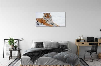 Quadro su tela Snow invernale di tigre